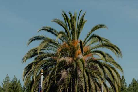 Ex-Google Contractor Settles Lawsuit Over Religious Sect