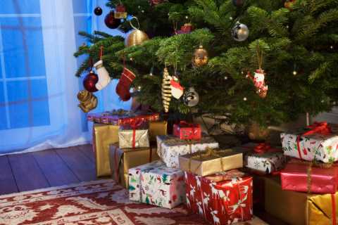 Christmas tradition could help beat cancer, scientists reveal