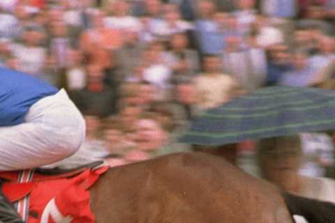 The Queen’s favourite horse Royal Applause dies aged 29 in sad Christmas news for The King and..