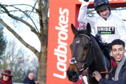 ‘It’ll be a shame for everybody’ – Constitution Hill prediction set to leave punters saddened in..