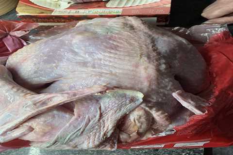 Christmas dinners ruined by rotten turkeys from Morrisons and Sainsbury’s that look like ALIENS and ..