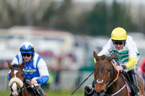 ‘Devastating news’ – fans heartbroken as two exciting horses sadly killed in the same race at..