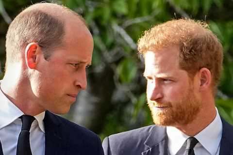 Prince Harry and William’s relationship ‘hanging by a thread’ before bombshell book exposing their..