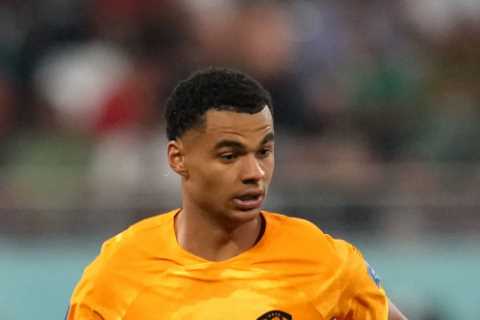 Dutch icon De Boer reveals why Cody Gakpo was right to snub Man Utd for Liverpool transfer in blow..