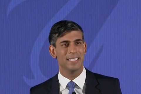 Rishi Sunak vows to cut NHS waiting lists, halve inflation and stop the boats as he makes five..