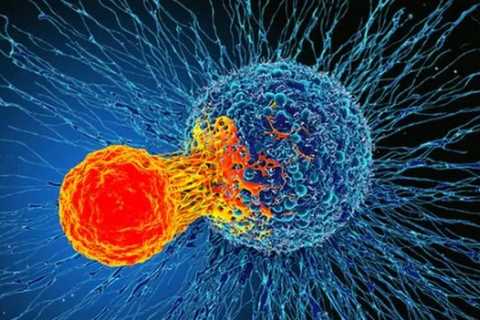 New cancer vaccine ‘kills and prevents deadly disease at the same time’