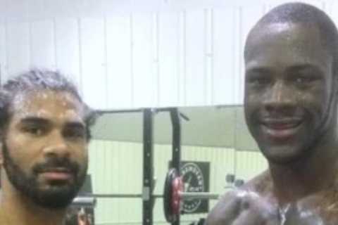 Deontay Wilder hailed as ‘hardest punching heavyweight ever’ by David Haye who opens up on brutal..