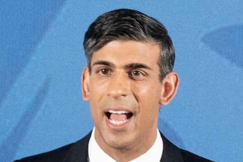 Rishi Sunak gambles his premiership on five promises to fix the storm of crises engulfing Britain