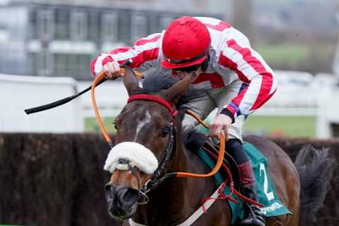 You could already be onto a huge winner if you backed these horses as bookies reveal biggest..