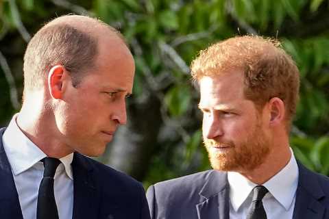 Prince Harry opens up about ‘competition’ between him and ‘arch-nemesis’ William in teaser of GMA..