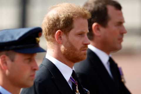 Seven times Prince Harry was welcomed by royal family – even though he claimed there’s ‘no..