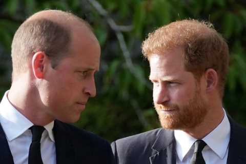 Prince Harry says William ‘attacked’ him &amp; left him knocked to the floor after calling Meg..