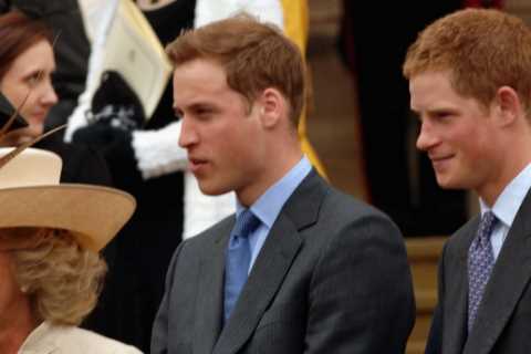 I feared Camilla would be my wicked stepmother – Prince William and I begged our dad King Charles..