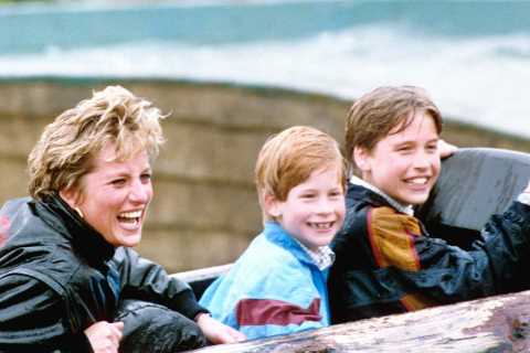 Prince Harry reveals heartbreaking moment he was told about Diana’s death and says he pretended she ..