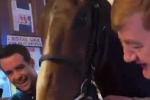 ‘Unreal’ Guinness-drinking horse who loves it in the pub backed to be the toast of Cheltenham by..