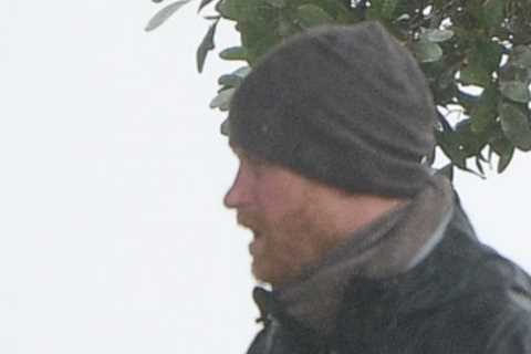 Prince Harry seen on dog walk as he breaks cover for first time after unleashing explosive claims..