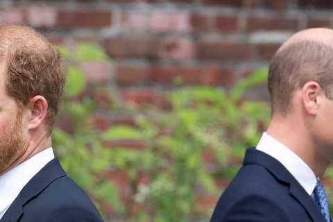 Prince Harry’s jealousy of William is made apparent in bombshell memoir