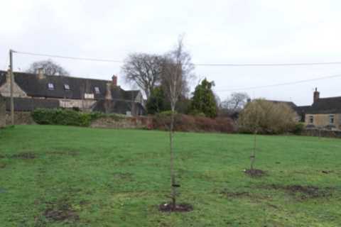 Grassy field where Prince Harry lost virginity to older woman revealed