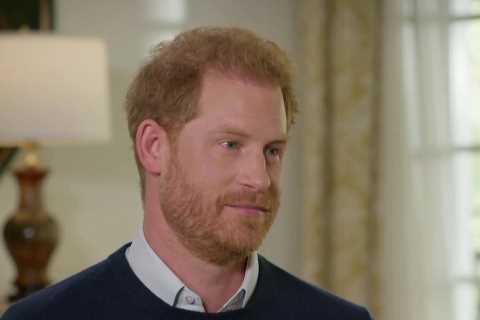 Prince Harry reveals new details of fight with William and says brother had ‘red mist’ over Meghan..