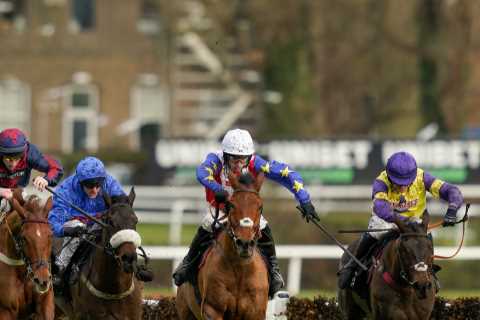 ‘I’ll be disappointed if he isn’t in the first four’ – Nicholls team eye Supreme at Cheltenham with ..