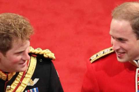 Prince Harry claims he WASN’T William’s best man and his brother ‘didn’t want him to give a speech’ ..