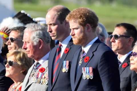 Prince Harry ‘pleaded’ Palace for Remembrance wreath to be laid on his behalf
