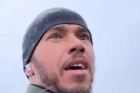 Lewis Hamilton goes on 11km run in Antarctica and jogs past penguins and seals in freezing..