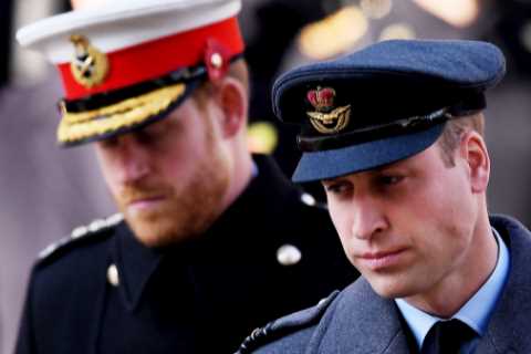 Prince William said Harry was being ‘brainwashed by his therapist’ and ‘wasn’t well’ sparking..