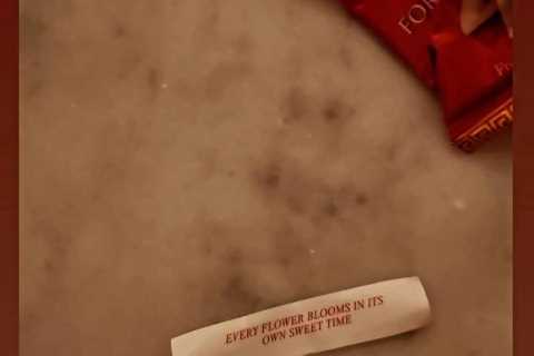 Stacey Dooley shares cryptic Instagram post as she prepares to give birth to first baby