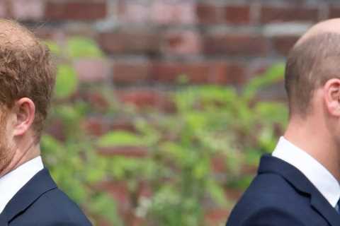 Therapy stopped me from hitting William during fight, reveals Prince Harry
