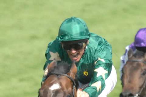 Racehorses worth £20 MILLION set to be resold after Derby-winning owner disappears without paying..