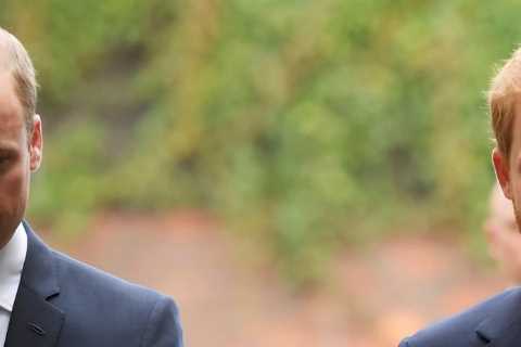 Prince William cannot bite at Harry’s claims – a public slanging match is beneath him