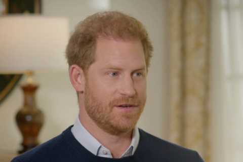 Royal fans are saying the same thing after Prince Harry moans about shopping in TK Maxx and buying..