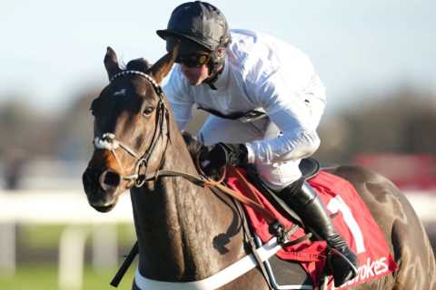 Constitution Hill ‘almost certain’ to break 70-year-old Cheltenham Festival record for..