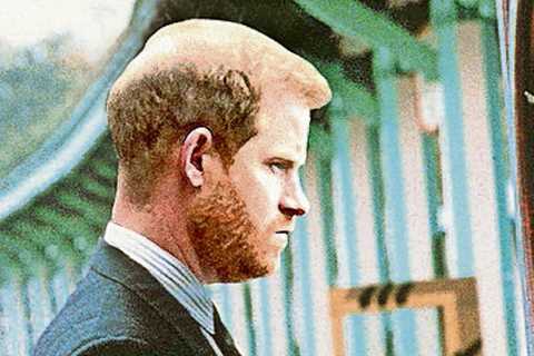 Moaning man child Prince Harry is like Tom Hanks in Big. If only he could go back in time too…