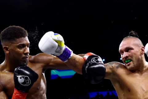 Deontay Wilder’s ex-opponent Gerald Washington is ‘one of the leading names’ to fight Anthony..