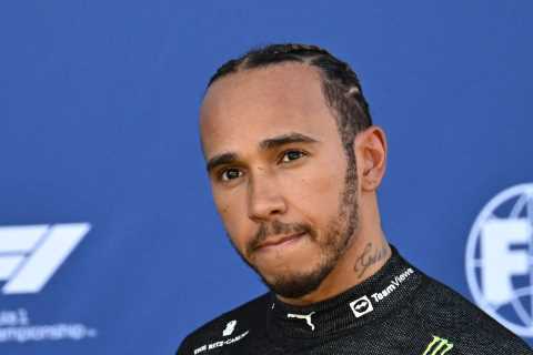 Mercedes chief Wolff calls on FIA boss to meet Lewis Hamilton – to stop F1 driver being BANNED for..