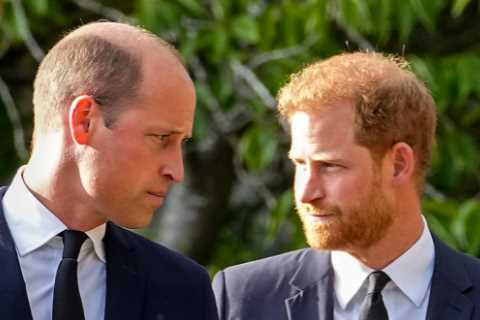 Royal Family ‘to hold peace talks with Prince Harry’ before coronation under plans to ‘fix’..
