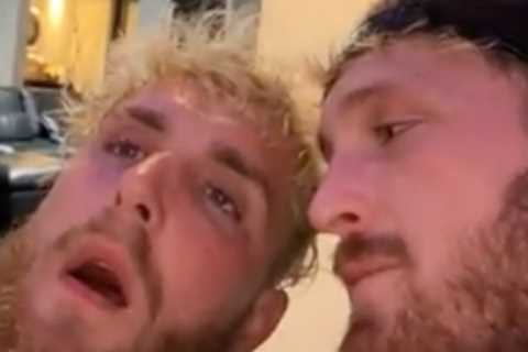‘I’m shivering with fear’ – Jake Paul reacts as KSI calls out bitter rival after knocking out..
