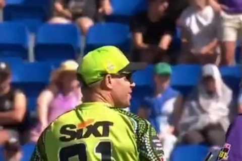 Watch David Warner SHOVE former Australia team-mate Matthew Wade in ‘unsavoury’ row during Big Bash ..