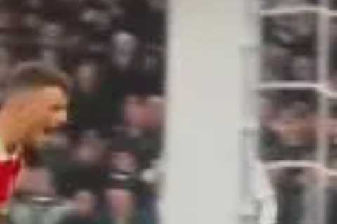 ‘S***house dark arts’ – Watch Arsenal ace Ben White scream at Ryan Sessegnon to put Spurs star off..