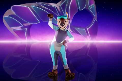 Masked Singer’s Otter ‘revealed’ as This Country star after fans spot 8 clues – do you agree?