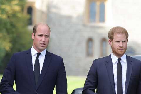 Meghan Markle and Kate Middleton have ‘blind ambition’ in common – but a key trait makes them clash,..
