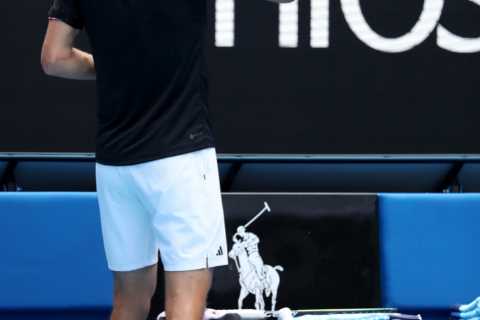 Watch Alexander Zverev get pooed on by bird during Australian Open as court erupts in laughter