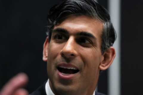 Only ‘idiots’ think taxes can be cut this year, says Rishi Sunak in swipe at restless Tory MPs
