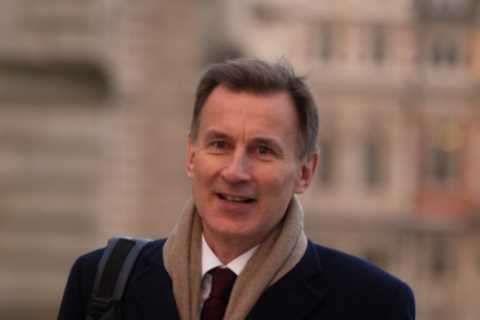 Jeremy Hunt WON’T cut taxes in Budget as soaring inflation still too high, Tory MPs told