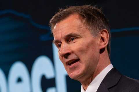 Jeremy Hunt urges 5million newly-retired Brits to get back to work to help economy