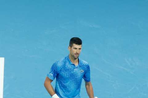 Novak Djokovic bizarrely points to his manhood after Australian Open 2023 triumph over Stefanos..