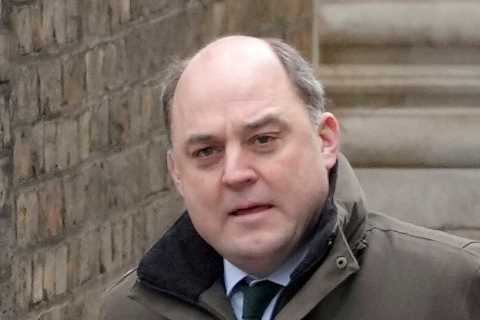Cash for military will need to increase for next 20 YEARS, Defence Sec Ben Wallace suggests