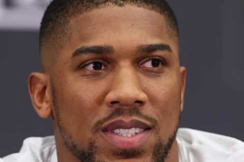 Anthony Joshua admits Deontay Wilder super-fight is ‘long overdue’ and remains adamant it ‘WILL..